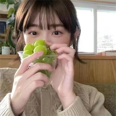 寻找法理德